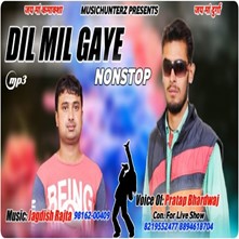 Dil Mil Gaye Non-Stop Pahari Songs